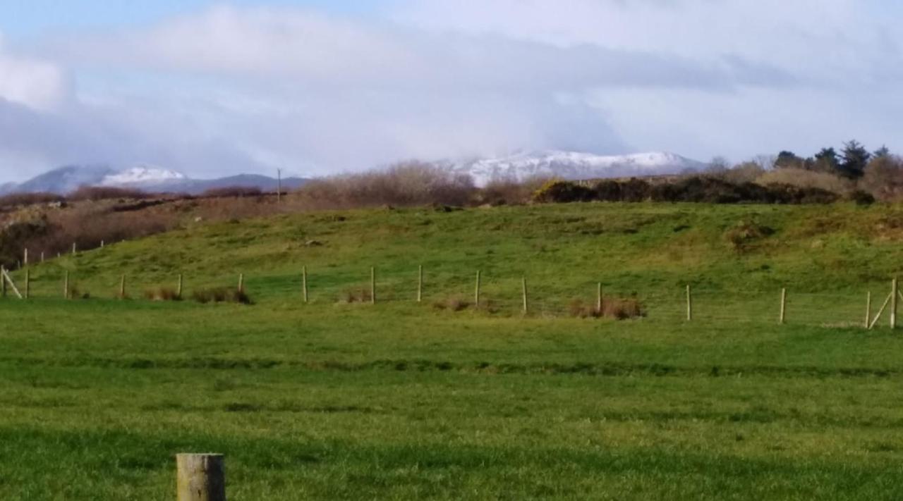 Madra Rua Organic Accommodation Ballyliffin Eksteriør billede