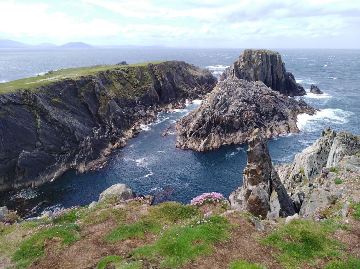 Madra Rua Organic Accommodation Ballyliffin Eksteriør billede