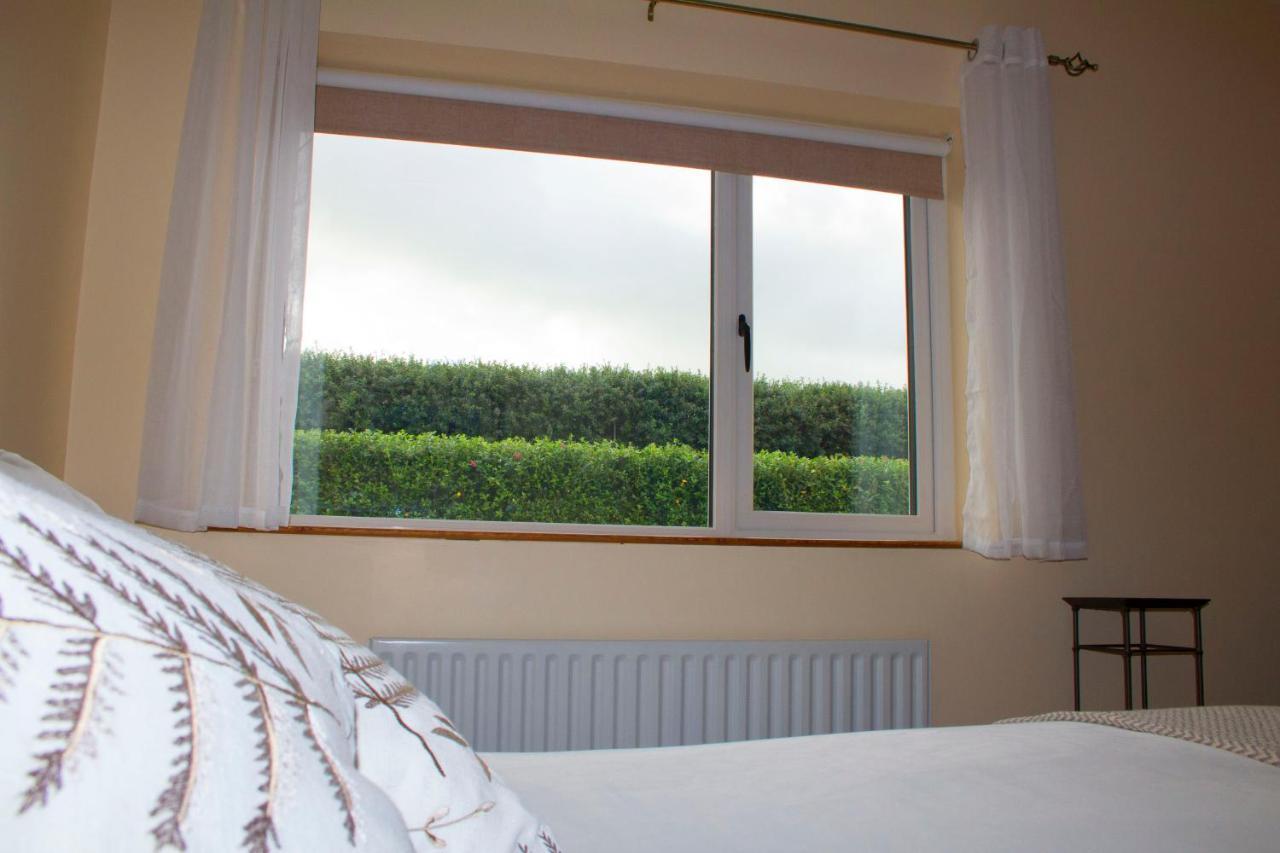 Madra Rua Organic Accommodation Ballyliffin Eksteriør billede